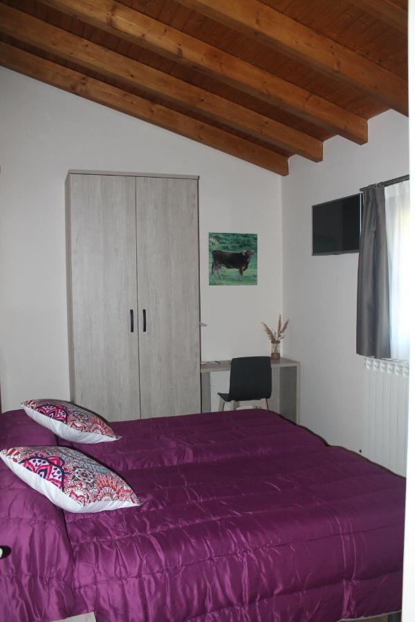 Hotel Rural Rio Molinar Ranera Zewnętrze zdjęcie